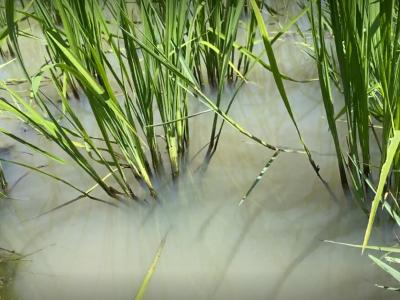 ให้ความรู้เรื่องการบริหารจัดการน้ำ