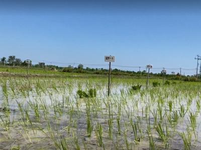 ให้ความรู้เรื่องการบริหารจัดการน้ำ