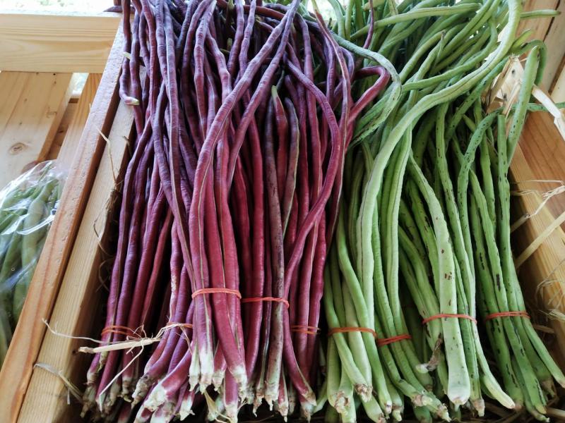 ถั่วฝักยาว