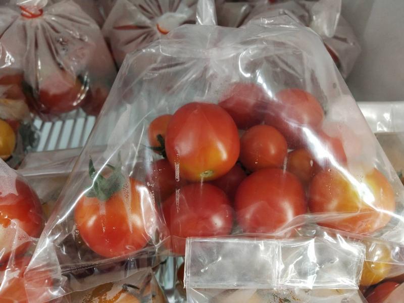 มะเขือเทศสีดา