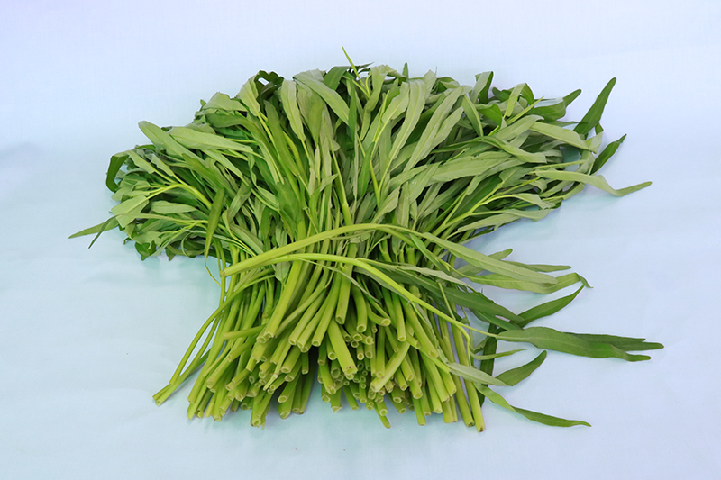 ผักบุ้ง