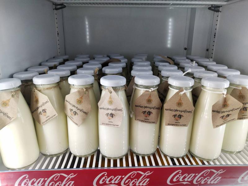 นมพลาสเจอร์ไรส์