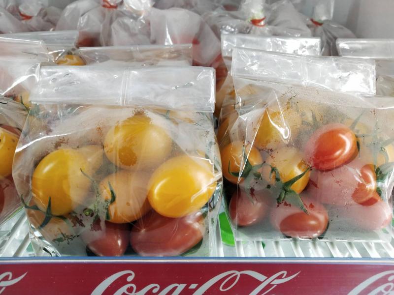 มะเขือเทศเชอรี่